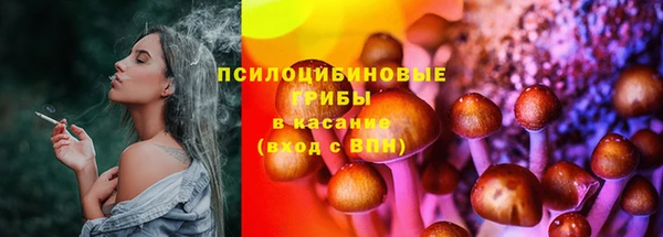 дмт Абаза