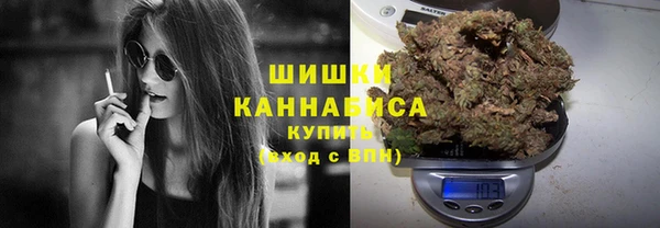 дмт Абаза