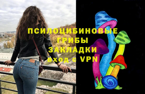 гашик Алзамай
