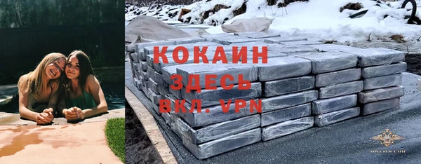 шишки Алексин