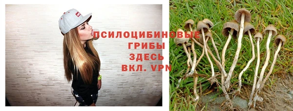 гашик Алзамай