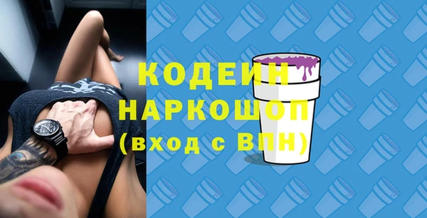 гашик Алзамай