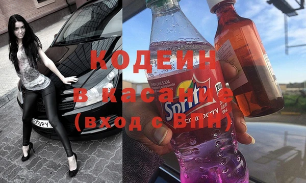 шишки Новодвинск